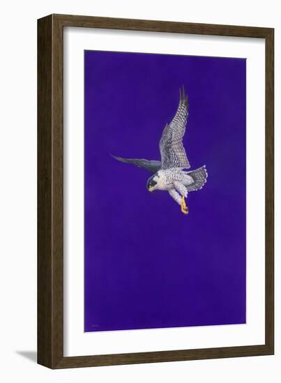 Purple Stoop-Tim Hayward-Framed Giclee Print