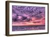 Purple Sunrise-Robert Goldwitz-Framed Photographic Print