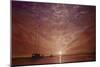 Purple Sunset Boating-Cherie Roe Dirksen-Mounted Giclee Print