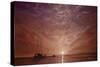 Purple Sunset Boating-Cherie Roe Dirksen-Stretched Canvas