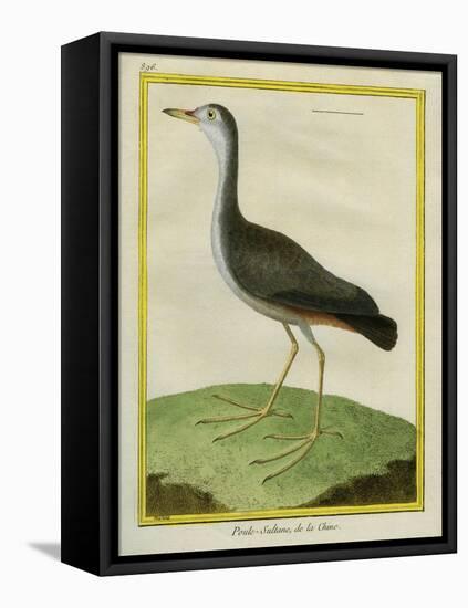 Purple Swamphen-Georges-Louis Buffon-Framed Stretched Canvas