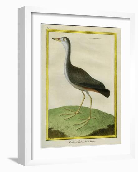 Purple Swamphen-Georges-Louis Buffon-Framed Giclee Print