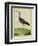 Purple Swamphen-Georges-Louis Buffon-Framed Premium Giclee Print