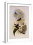 Purple-Throated Hummingbird, Trochilus Alexandri-John Gould-Framed Giclee Print