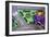 Purple Toy Car on Street Mat-null-Framed Photo