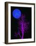 Purple Tree and Blue Moon-Jasmine Woods-Framed Art Print