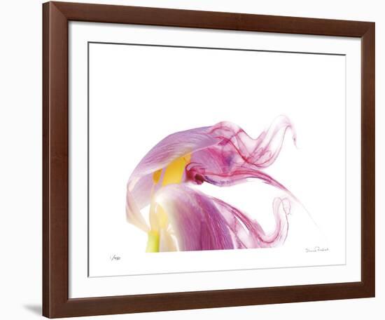 Purple Tulip Abstract No 129-Shams Rasheed-Framed Giclee Print