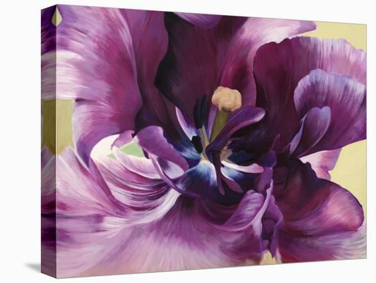 Purple tulip close-up-Luca Villa-Stretched Canvas