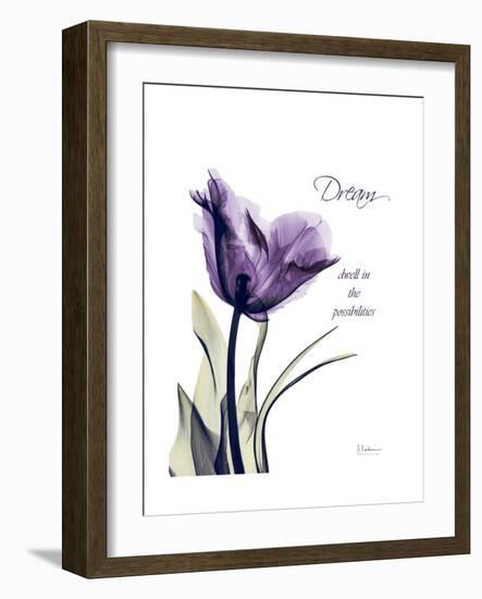 Purple Tulip Dream-Albert Koetsier-Framed Premium Giclee Print