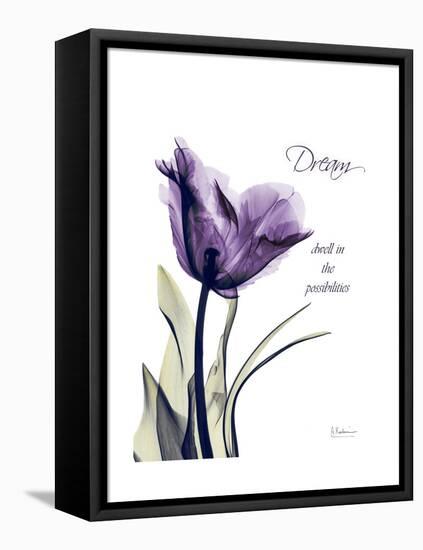 Purple Tulip Dream-Albert Koetsier-Framed Stretched Canvas