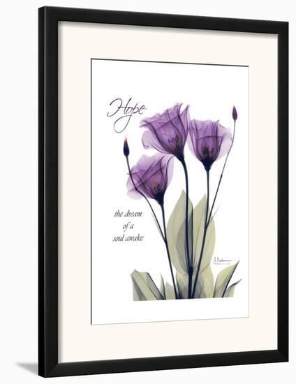 Purple Tulip, Hope-Albert Koetsier-Framed Art Print