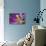 Purple Tulip II-Lee Peterson-Stretched Canvas displayed on a wall