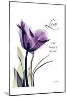 Purple Tulip, Love-Albert Koetsier-Mounted Art Print