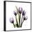 Purple Tulip Square-Albert Koetsier-Framed Premium Giclee Print