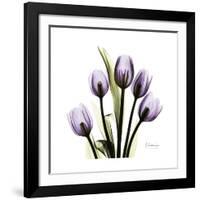 Purple Tulip Square-Albert Koetsier-Framed Giclee Print