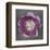 Purple Tulip-Erin Clark-Framed Art Print