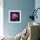 Purple Tulip-Katano Nicole-Framed Photo displayed on a wall