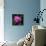 Purple Tulip-Katano Nicole-Mounted Photo displayed on a wall