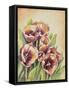 Purple Tulips I-Gwendolyn Babbitt-Framed Stretched Canvas