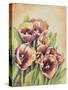 Purple Tulips I-Gwendolyn Babbitt-Stretched Canvas