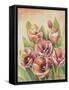 Purple Tulips II-Gwendolyn Babbitt-Framed Stretched Canvas