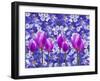 Purple Tulips-Ata Alishahi-Framed Giclee Print
