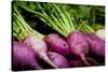 Purple Turnips Fresh Produce Photo Poster Print-null-Stretched Canvas