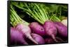 Purple Turnips Fresh Produce Photo Poster Print-null-Framed Poster