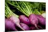 Purple Turnips Fresh Produce Photo Poster Print-null-Mounted Poster