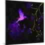Purple Twilight-Tina Lavoie-Mounted Giclee Print