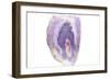 Purple Watercolor Agate I-Susan Bryant-Framed Premium Giclee Print