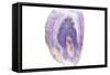 Purple Watercolor Agate I-Susan Bryant-Framed Stretched Canvas