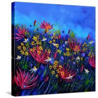 Purple Wild Flowers-Pol Ledent-Stretched Canvas