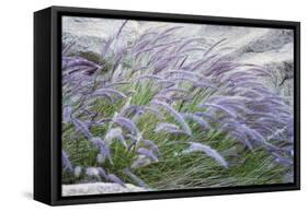 Purple Wild Grass II-Janice Sullivan-Framed Stretched Canvas