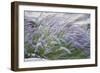 Purple Wild Grass II-Janice Sullivan-Framed Giclee Print