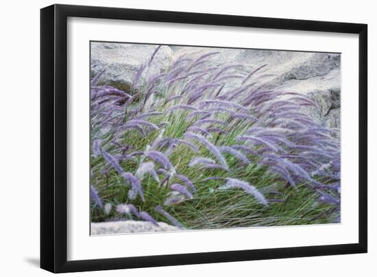 Purple Wild Grass II-Janice Sullivan-Framed Giclee Print