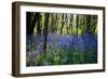 Purple Wildflowers in Forest-moodboard-Framed Photographic Print