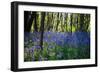 Purple Wildflowers in Forest-moodboard-Framed Photographic Print