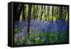 Purple Wildflowers in Forest-moodboard-Framed Stretched Canvas