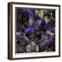 Purple Wings-Mindy Sommers-Framed Giclee Print