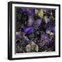 Purple Wings-Mindy Sommers-Framed Giclee Print