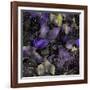 Purple Wings-Mindy Sommers-Framed Giclee Print