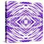 Purple with White Streaks-Deanna Tolliver-Stretched Canvas