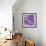 Purple-Oxana Zaiko-Framed Giclee Print displayed on a wall