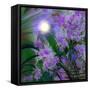 Purplescape-Mindy Sommers-Framed Stretched Canvas