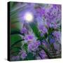 Purplescape-Mindy Sommers-Stretched Canvas