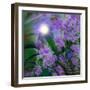 Purplescape-Mindy Sommers-Framed Giclee Print