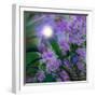 Purplescape-Mindy Sommers-Framed Giclee Print