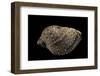 Purpura Persica-Paul Starosta-Framed Photographic Print