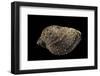 Purpura Persica-Paul Starosta-Framed Photographic Print